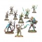Regiment of Renown: Sylvaneth - The Twisted Branch