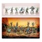 Regiment of Renown: Sylvaneth - The Twisted Branch