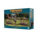 Warhammer: The Old World -  Beastmen Brayherds Battalion