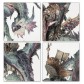 Lord on Chaos Dragon