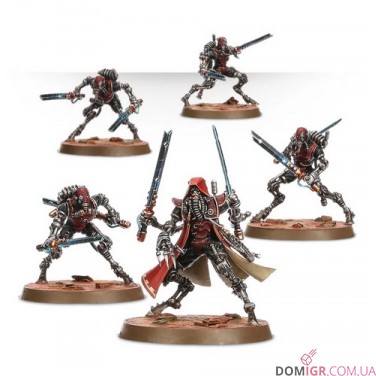 Sicarians