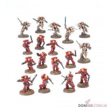 Combat Patrol: Blood Angels