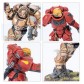 Combat Patrol: Blood Angels