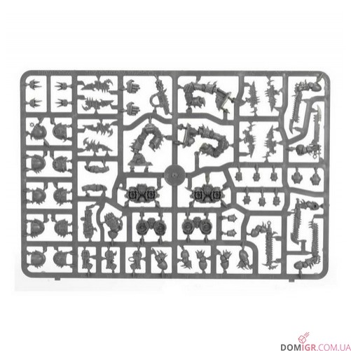 Raptors or Warp Talons