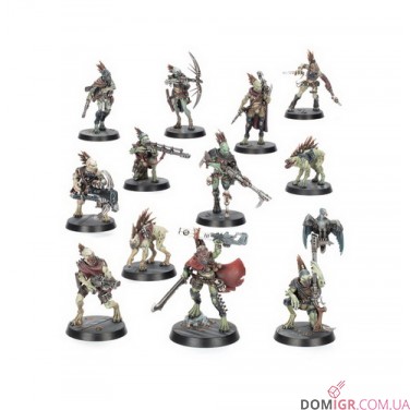 Combat Patrol: Kroot