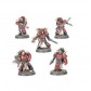 Red Corsairs Raiders