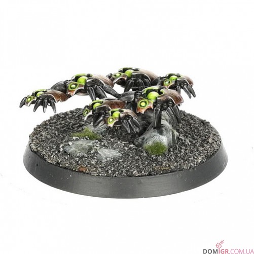 Warhammer 40,000: Recruit Edition Starter Set (Англ)