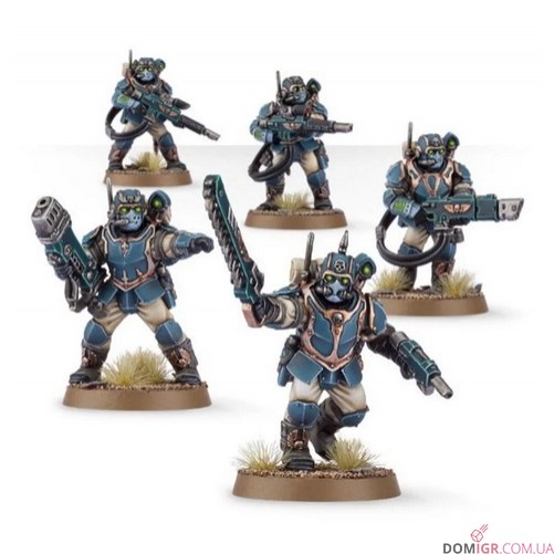 Start Collecting! Militarum Tempestus
