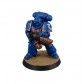Space Marines: Infernus Marines + Paints Set