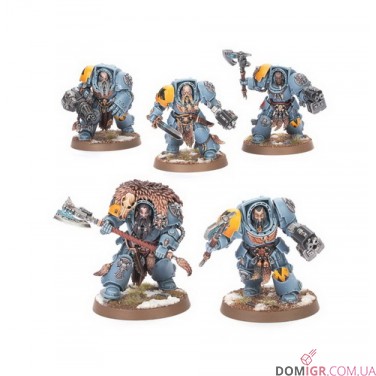 Wolf Guard Terminators