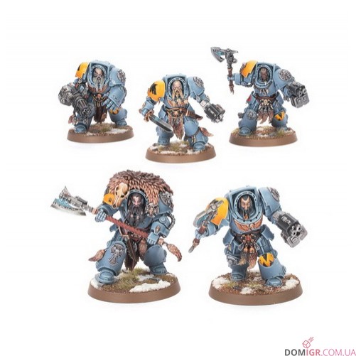Wolf Guard Terminators