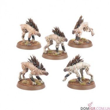 Купити Kroot Hounds Kroot Hounds