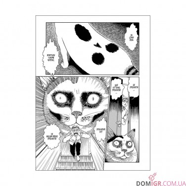 Манга «Котячий щоденник Джюнджі Іто: Йон та Му»