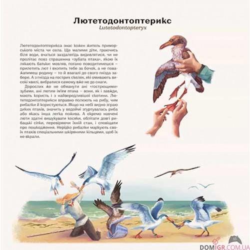 Артбук «Динокрай»