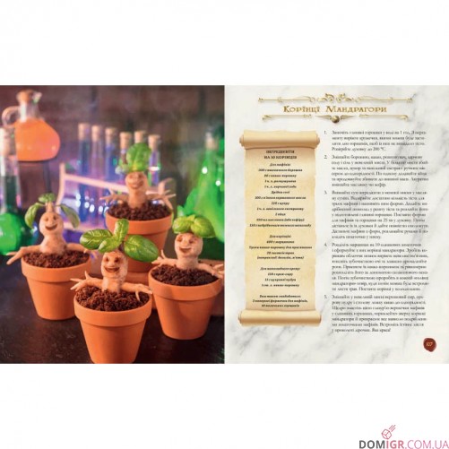 Книга ласощів Гаррі Поттера: Неофіційне ілюстроване видання