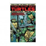 Комикс «Підлітки-мутанти черепашки-ніндзя, Том 1: Невідворотність змін»