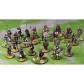 SAGA Norse Gael Starter Warband (4 points) - Metal