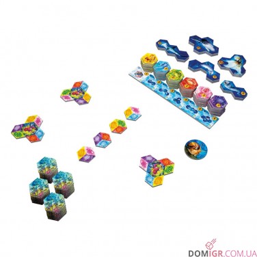 Aqua: Океанське біорізноманіття