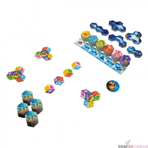 Aqua: Океанське біорізноманіття