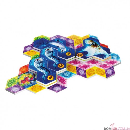 Aqua: Океанське біорізноманіття