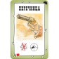 Бэнг! Великолепная восьмерка