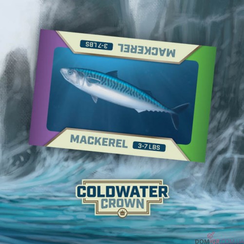Coldwater Crown