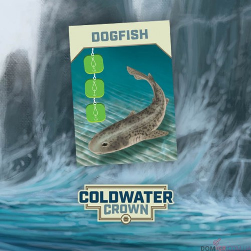 Coldwater Crown