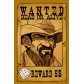 Dice Town expansion