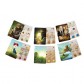 Dice Settlers