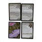 Dungeons & Dragons: Waterdeep – Dungeon of the Mad Mage