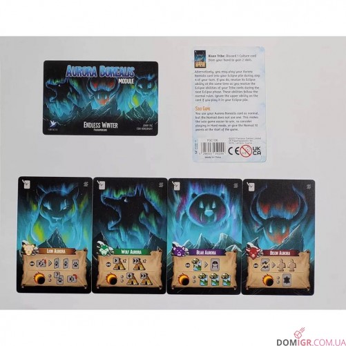 Endless Winter: Aurora Borealis