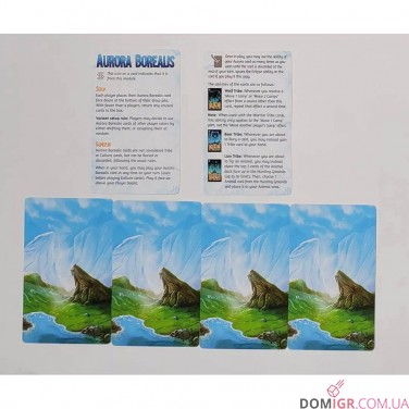Купити Endless Winter: Aurora Borealis Endless Winter: Aurora Borealis