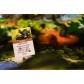 Everdell: Bellfaire
