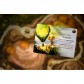 Everdell: Spirecrest