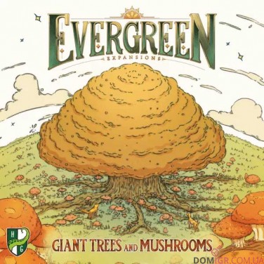 Evergreen: Giant Trees and Mushrooms