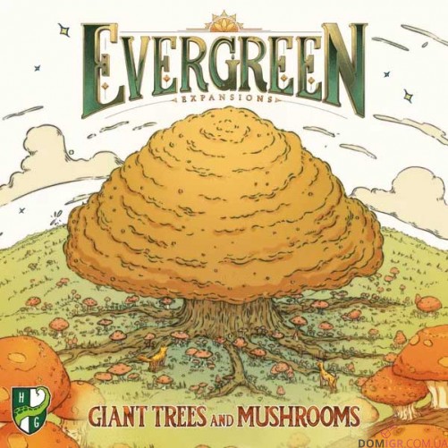 Evergreen: Giant Trees and Mushrooms