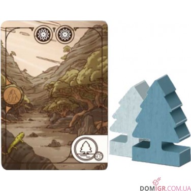 Evergreen: Pines and Cacti