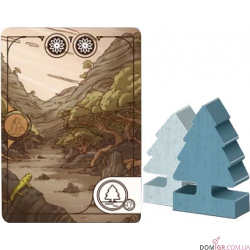 Evergreen: Pines and Cacti