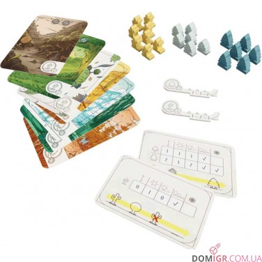 Evergreen: Pines and Cacti