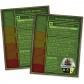 Fallout: Atomic Bonds