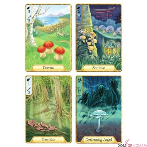 Fungi
