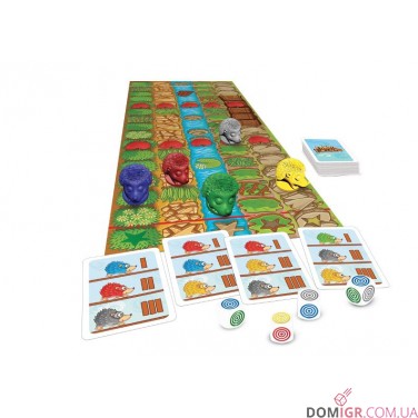 Перегони їжачків