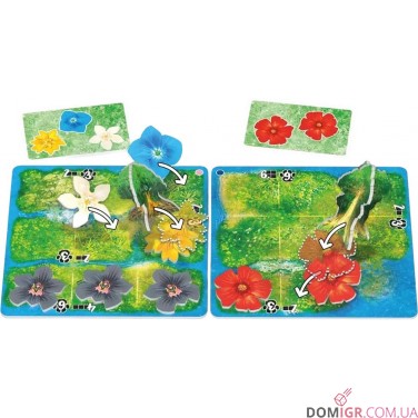 HUTAN: Життя в тропіках