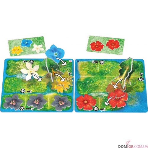 HUTAN: Життя в тропіках