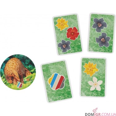 HUTAN: Життя в тропіках