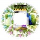 Herbaceous