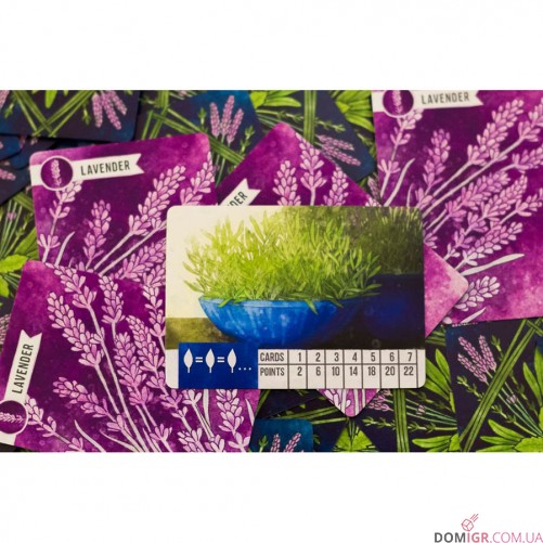 Herbaceous