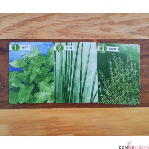 Herbaceous