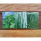 Herbaceous