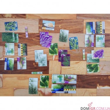 Herbaceous